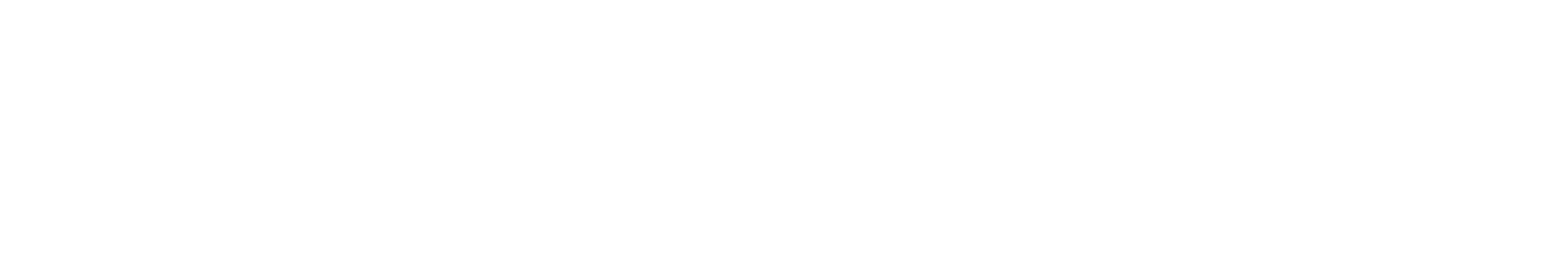 Housing LV Logo